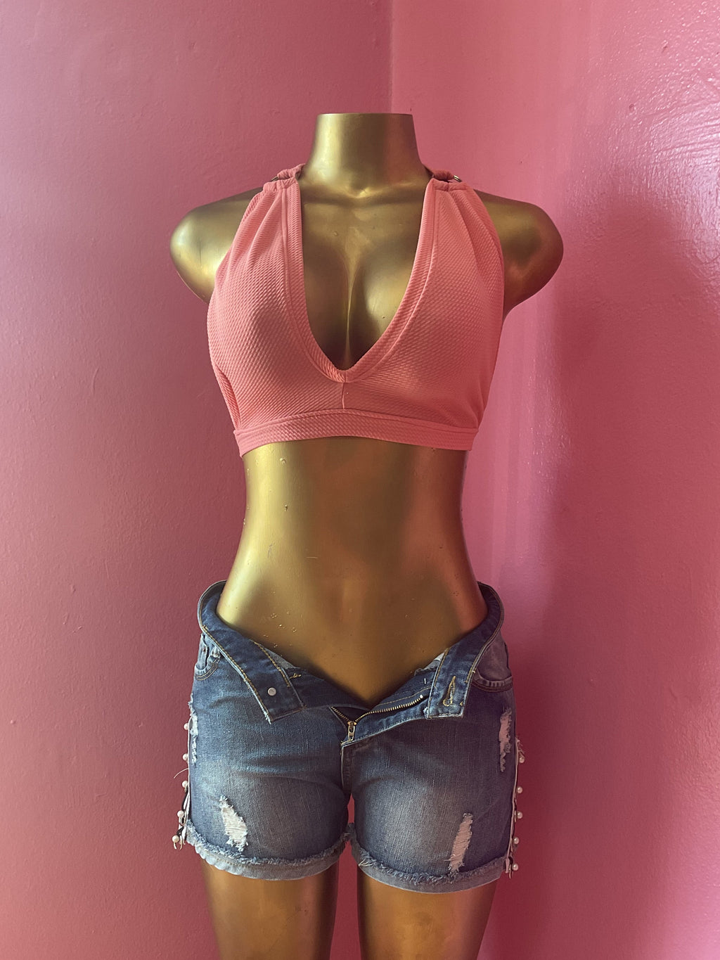 The Halo Halter