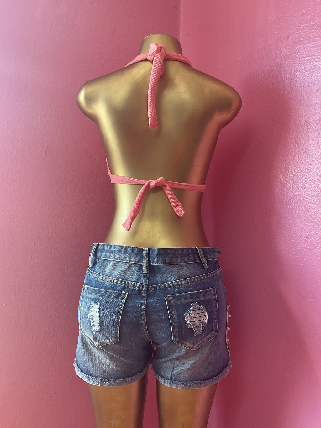 The Halo Halter